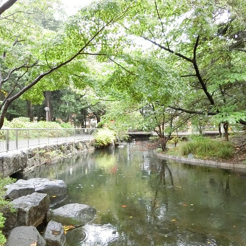 THE 10 BEST Free Things to Do in Suginami Updated 2024 