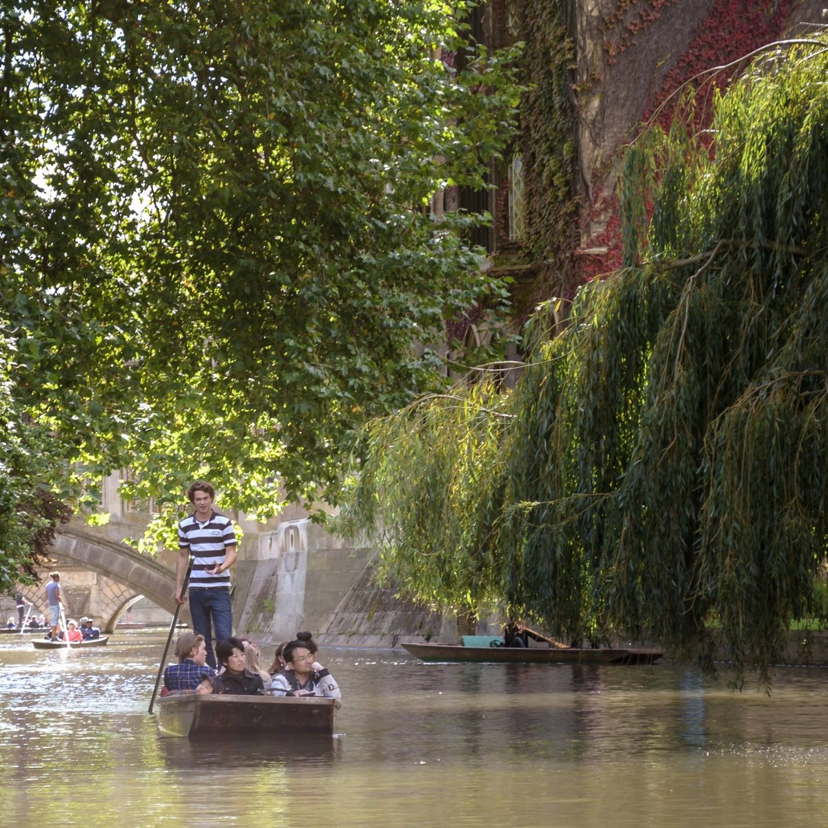 CAMBRIDGE PUNT COMPANY - All You Need to Know BEFORE You Go