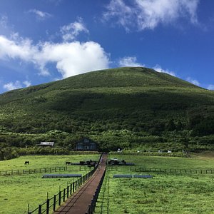 21年 八丈島八丈町で絶対外さないおすすめ観光スポットトップ10 定番から穴場まで トリップアドバイザー