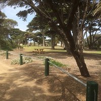 Looking East Through The park