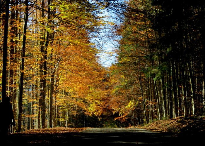 Herbststimmung im Nationalpark