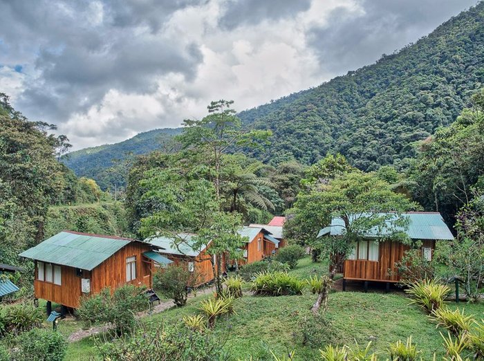 COCK OF THE ROCK LODGE - Reviews (Manu National Park, Peru)