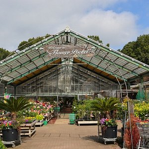 21年日本东茨城郡的旅游景点 旅游指南 行程 Tripadvisor 21年日本东茨城郡的旅游景点 旅游指南 行程 Tripadvisor