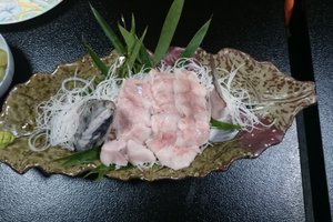 旅行者の写真