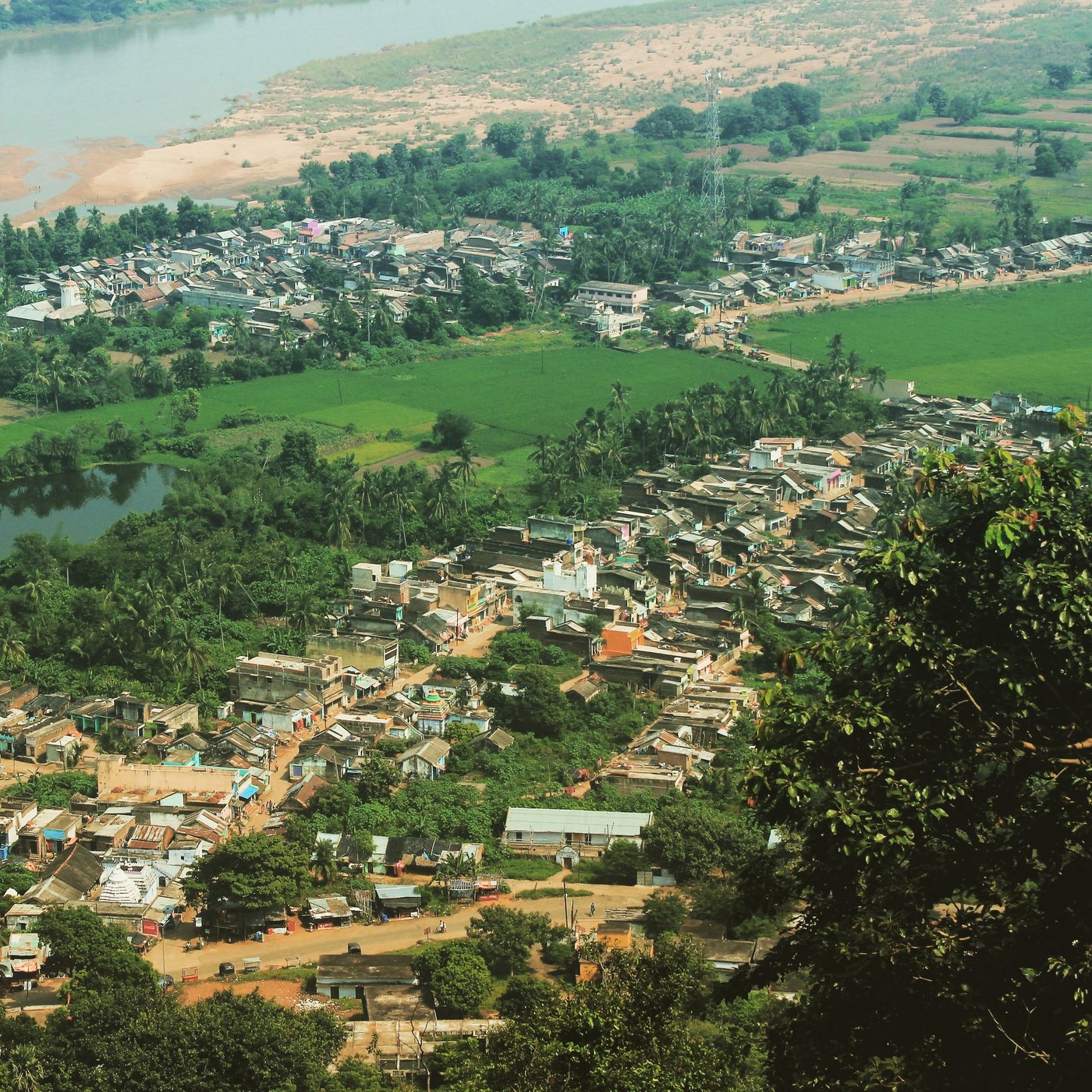 Picture of Ganjam
