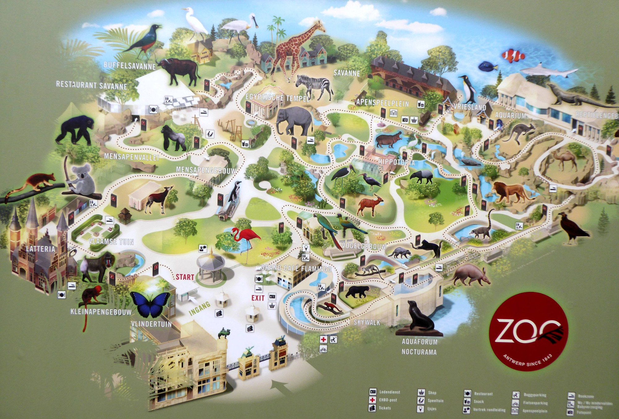 Antwerp Zoo (Dierentuin) (Antwerpen) - 2022 Alles Wat U Moet Weten ...