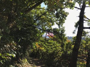 部屋からの眺め