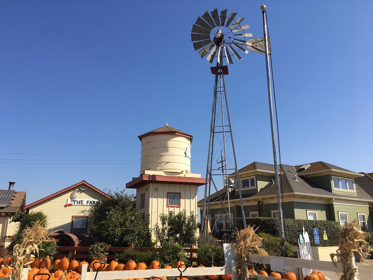 Cielo Bello Farm's Store