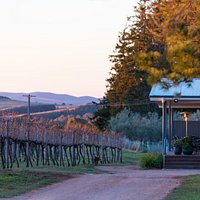 Rowlee cellar door. Photo by Stephen Dwyer