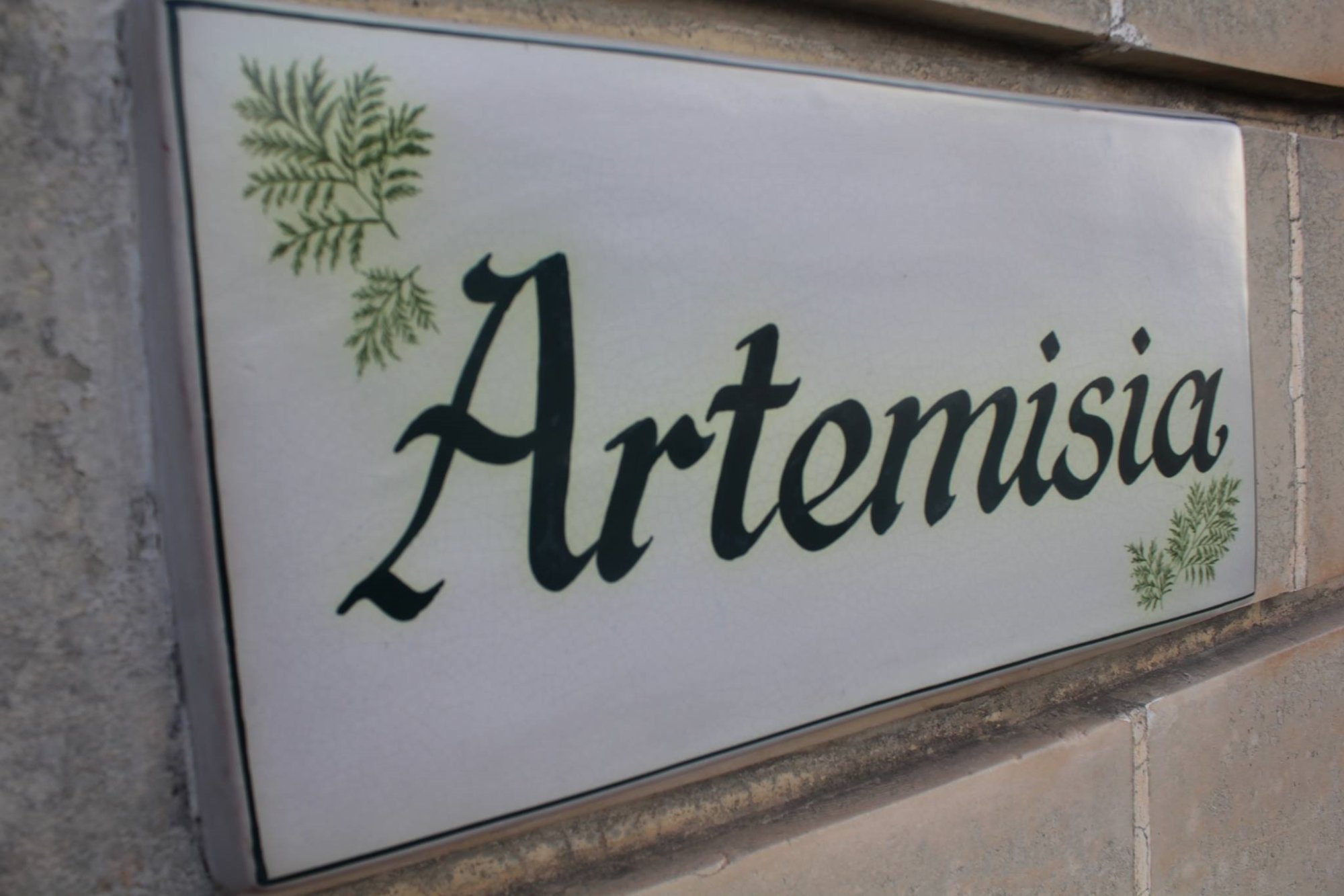 ARTEMISIA - B&B Reviews (Mosta, Malta)