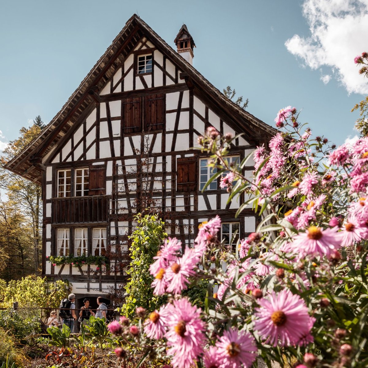 MUSÉE DE PLEIN-AIR DE BALLENBERG (Hofstetten bei Brienz): Ce qu'il faut ...