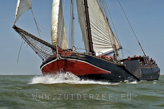 Sailingtrips Zuiderzee image