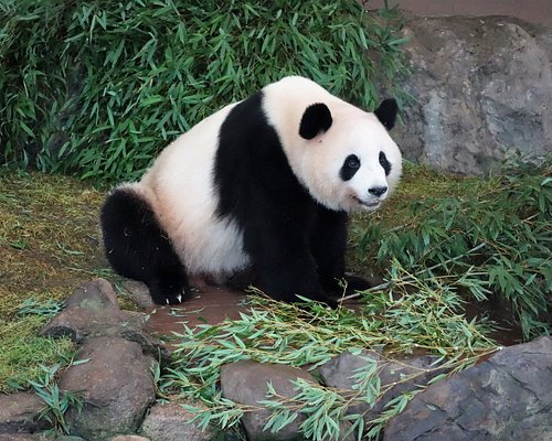 近畿地方の遊園地 ベスト10 トリップアドバイザー