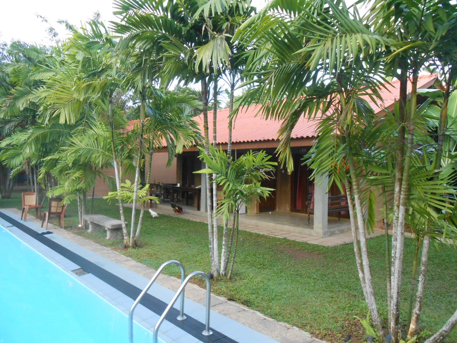 Ranmin Dampe Resort image