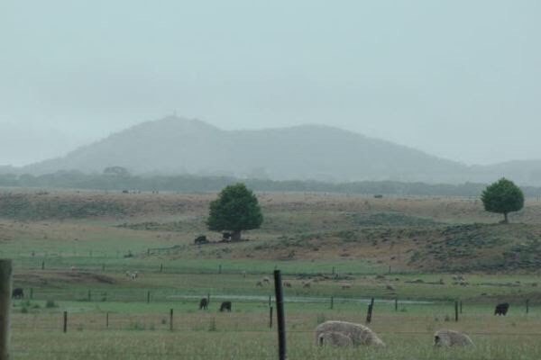 Mount Richmond National Park