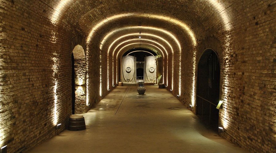 Dom cellar