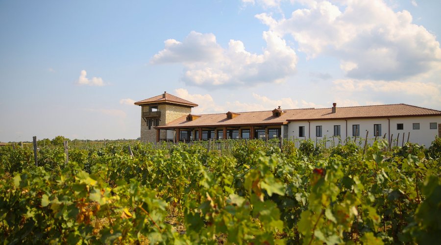 Mosmieri Kakheti Wine Centre