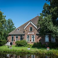 Alida Hoeve