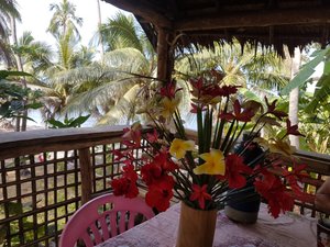 Comedor