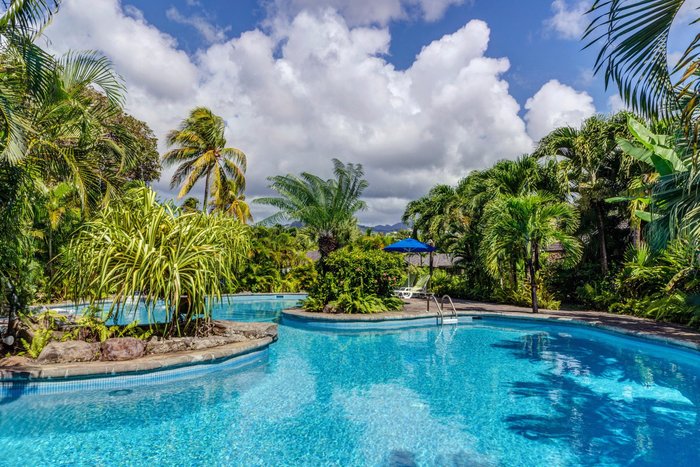 Young Island Resort Pool: Pictures & Reviews - Tripadvisor