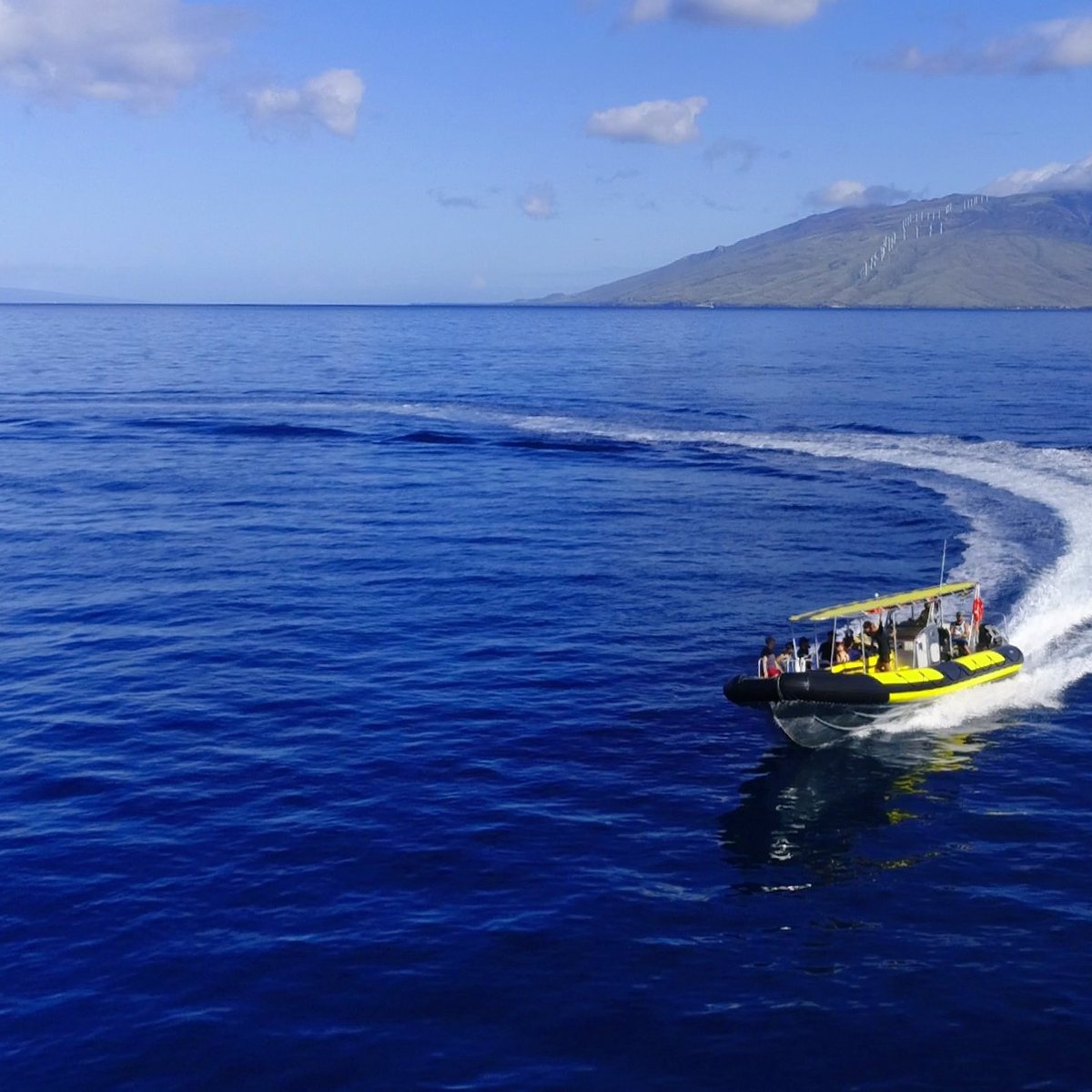 MAUI SNORKEL CHARTERS (Kihei) - All You Need to Know BEFORE You Go