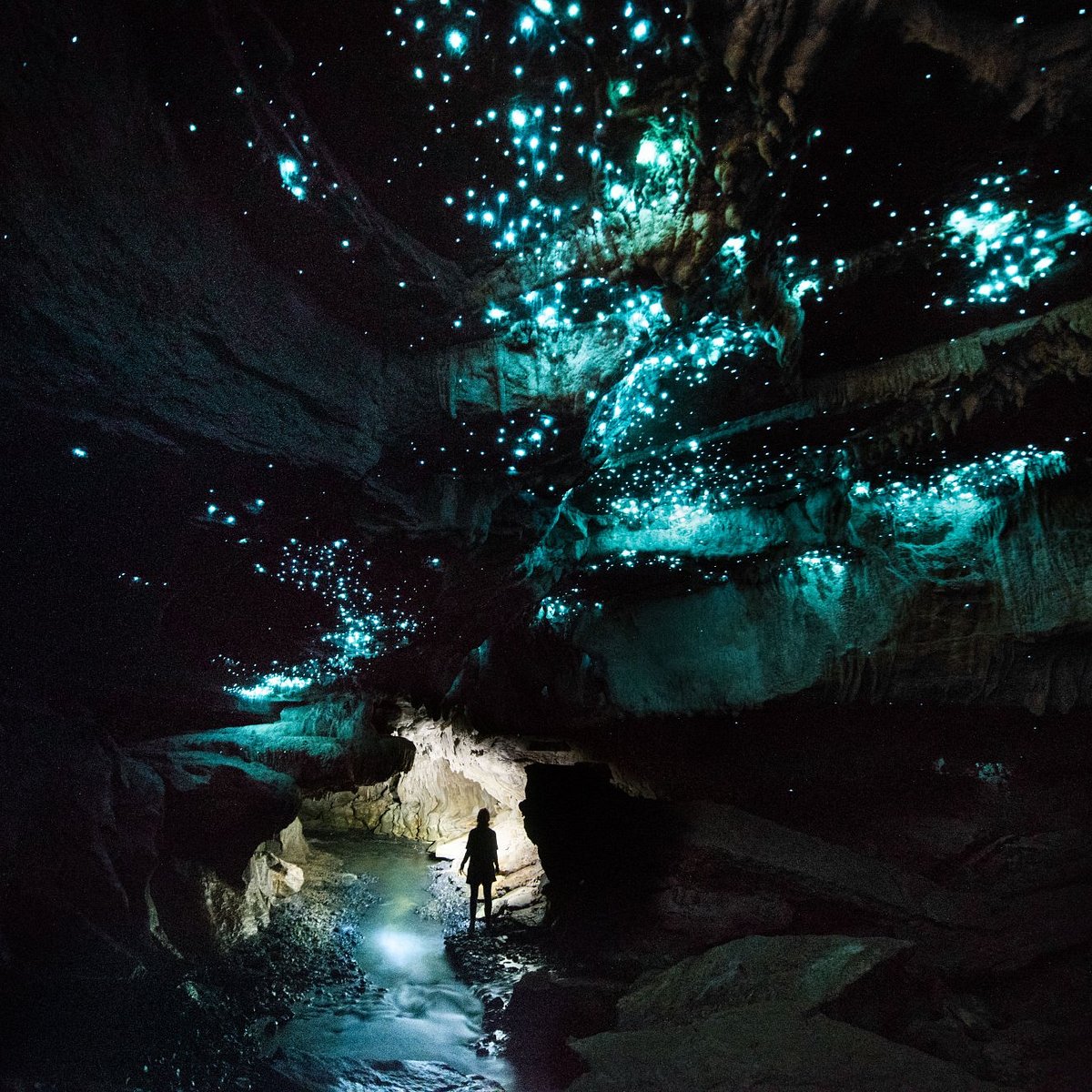 Пещеры светлячков Вайтомо