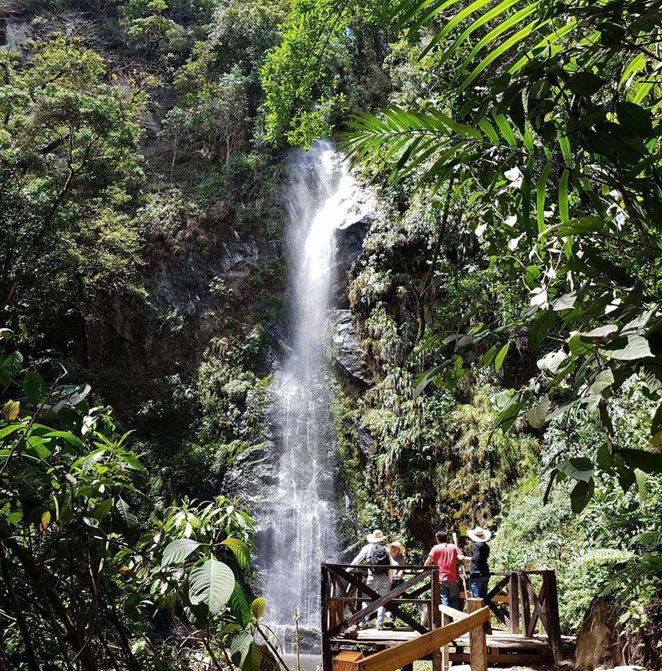 Cascadas de Cocora (Salento): All You Need to Know