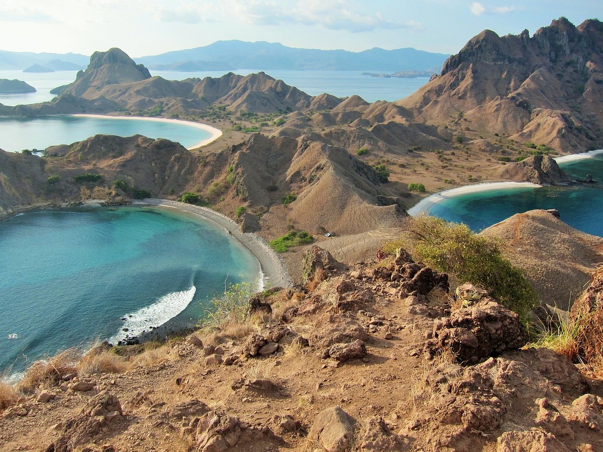 THE 10 BEST Hotels in Komodo, Indonesia 2024 (from $11) - Tripadvisor