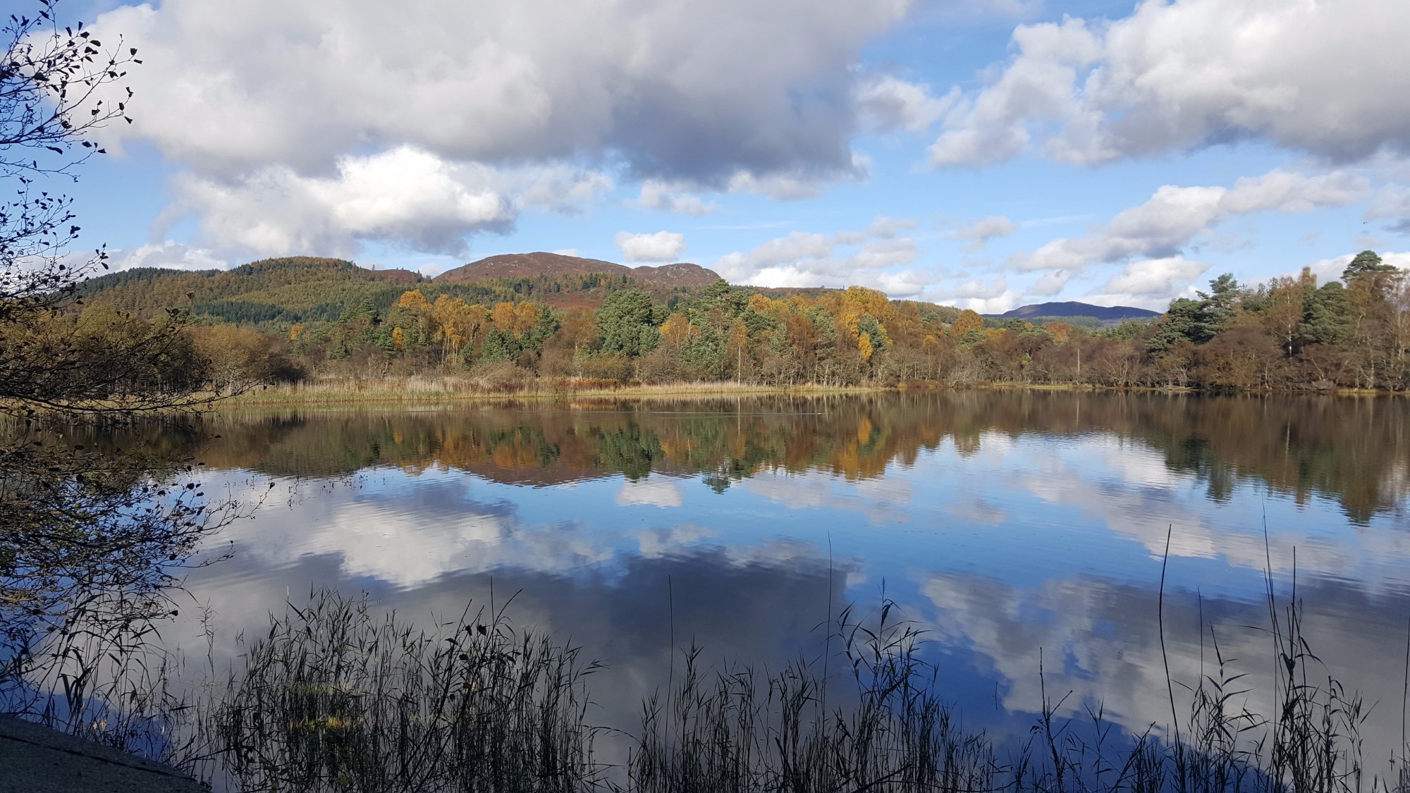 LOCH OF THE LOWES VISITOR CENTRE AND WILDLIFE RESERVE All You