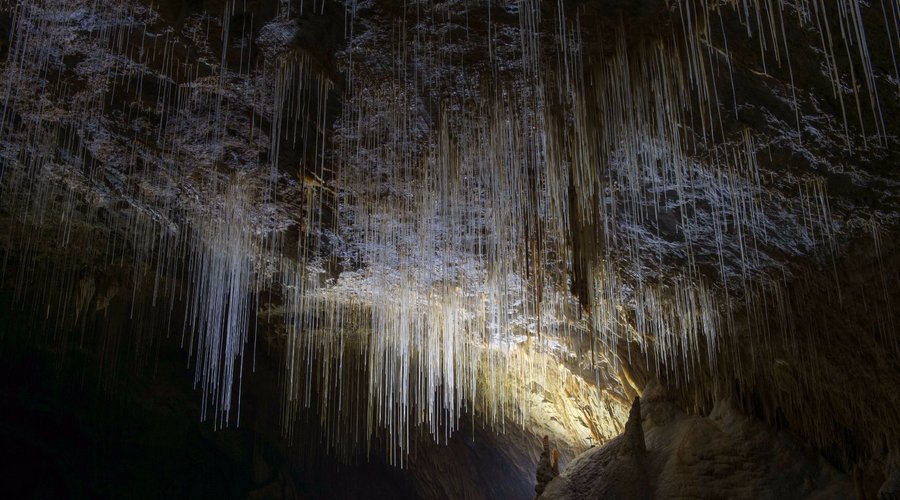 Grotte de Choranche, des stalactites fistuleuses suspendues par milliers aux voûtes de la cavité