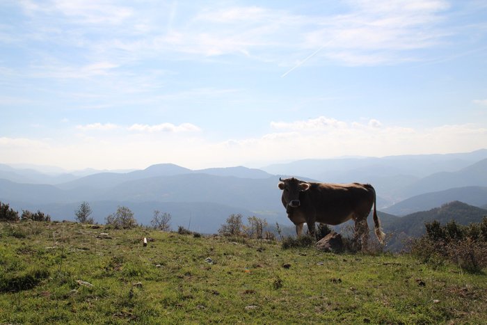 Imagen 21 de Alberg Rural El Negre