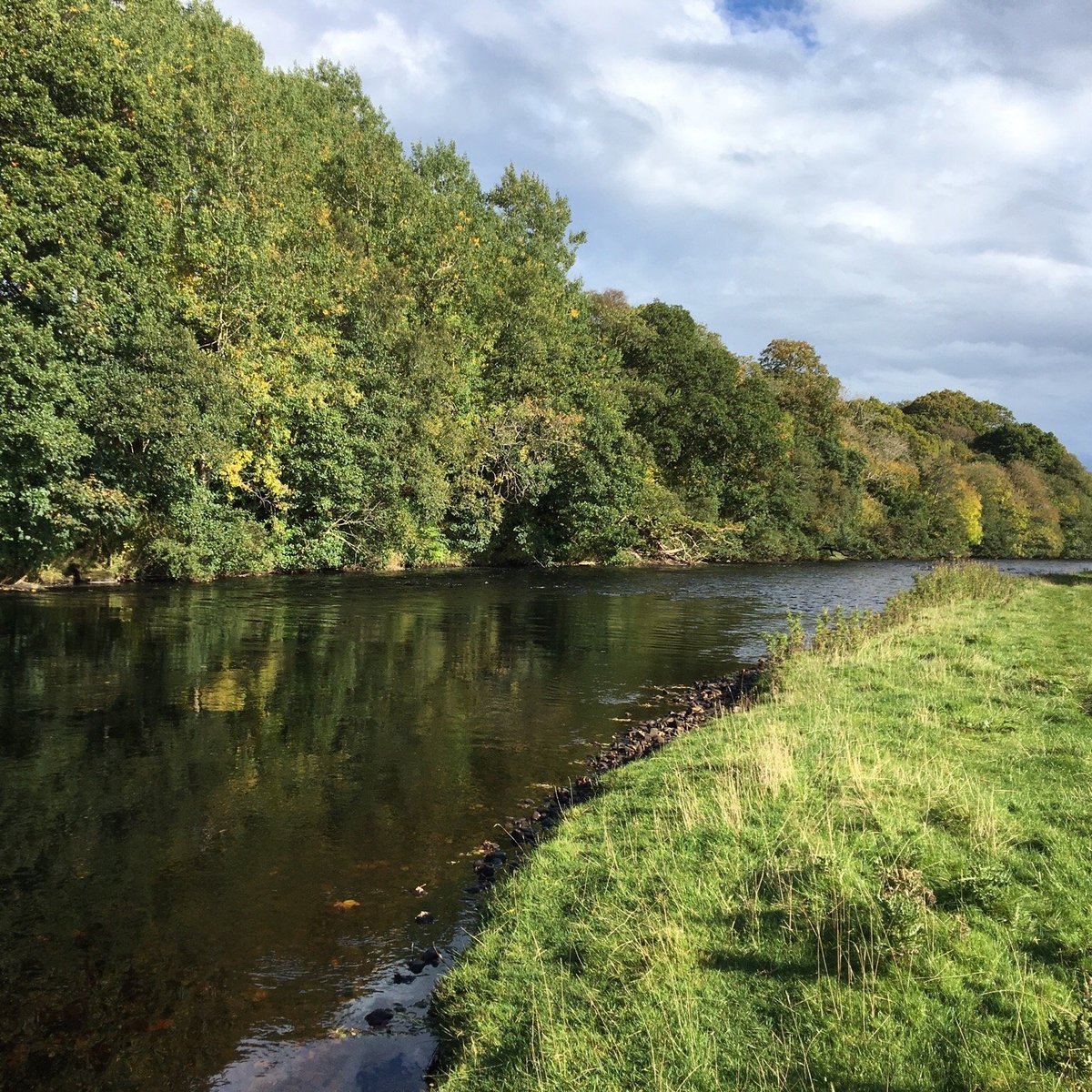 KIELDER WATER & FOREST PARK All You Need to Know BEFORE You Go