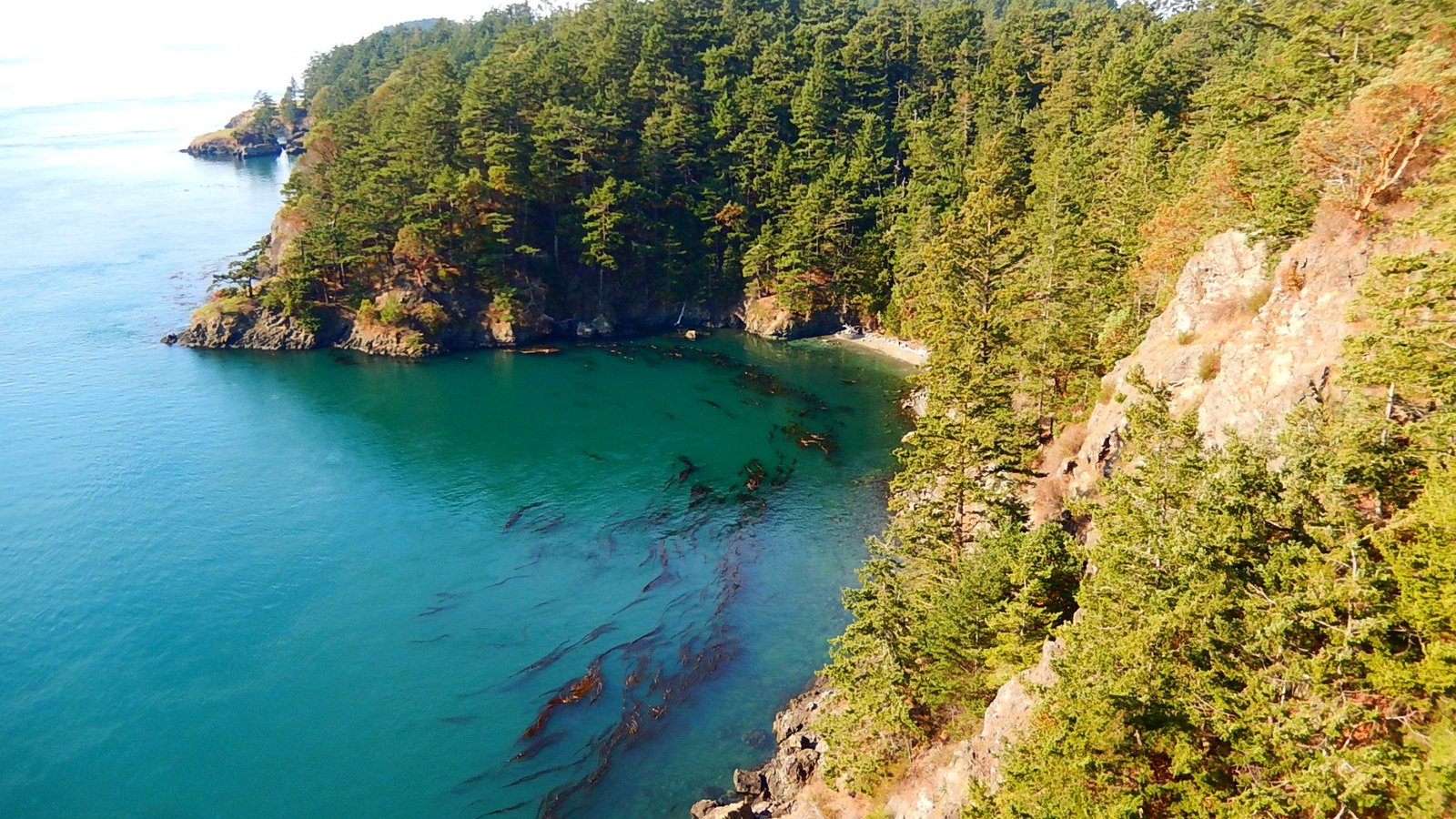 Os Melhores Hotéis Com Piscina Externa Em Oak Harbor 2023 Com Preços Tripadvisor 8775