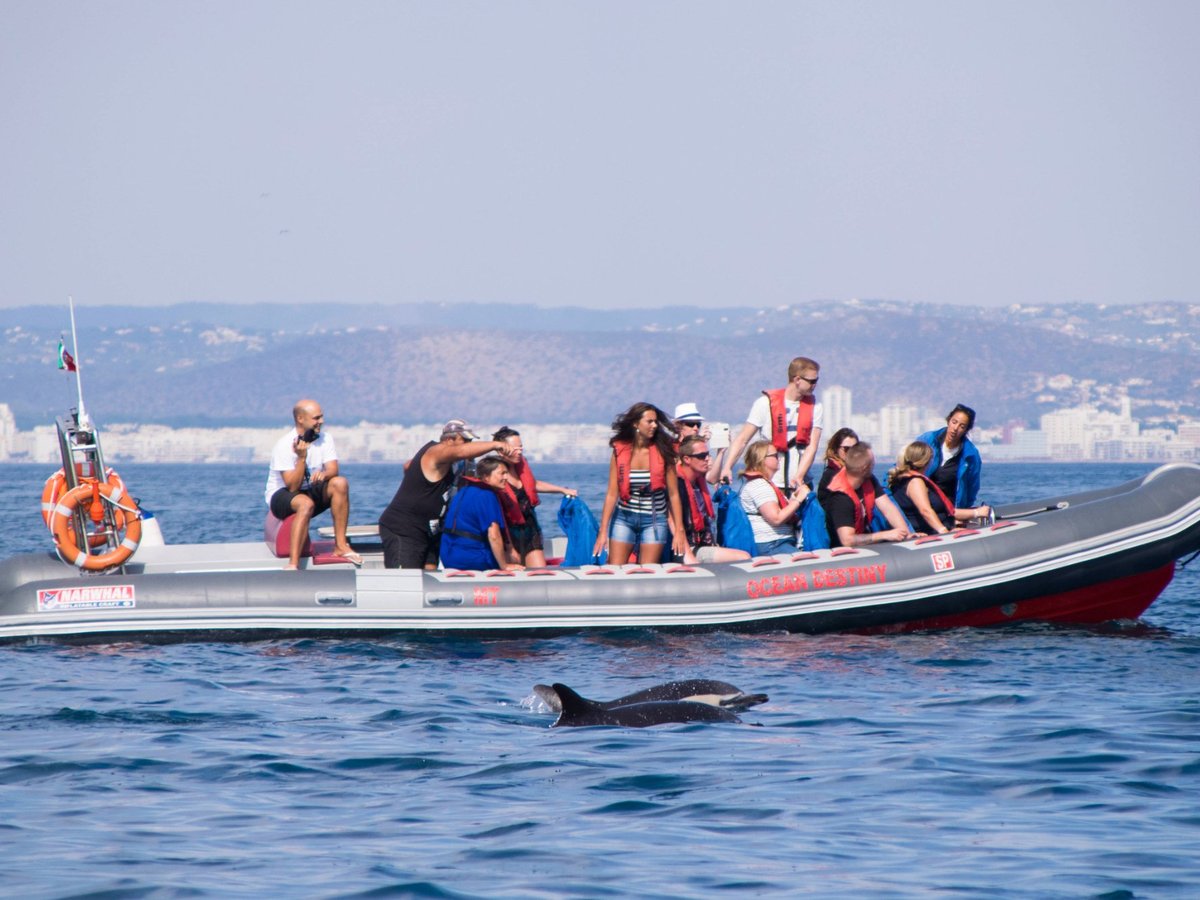 DOLPHINS DRIVEN (Albufeira) - All You Need to Know BEFORE You Go