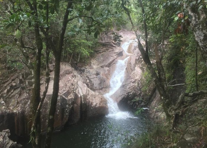 Finch Hatton, Australia 2024: Best Places To Visit - Tripadvisor