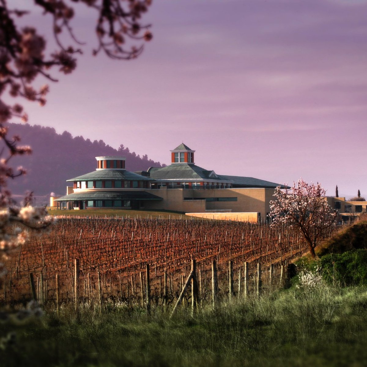 Vivanco (Briones) Aktuell für 2022 Lohnt es sich? (Mit fotos)