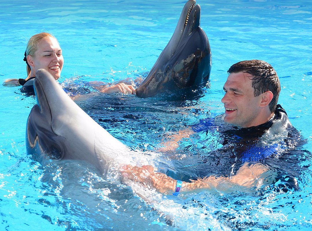 Hurghada: 1-Hour Show at Dolphin World with Optional Pickup