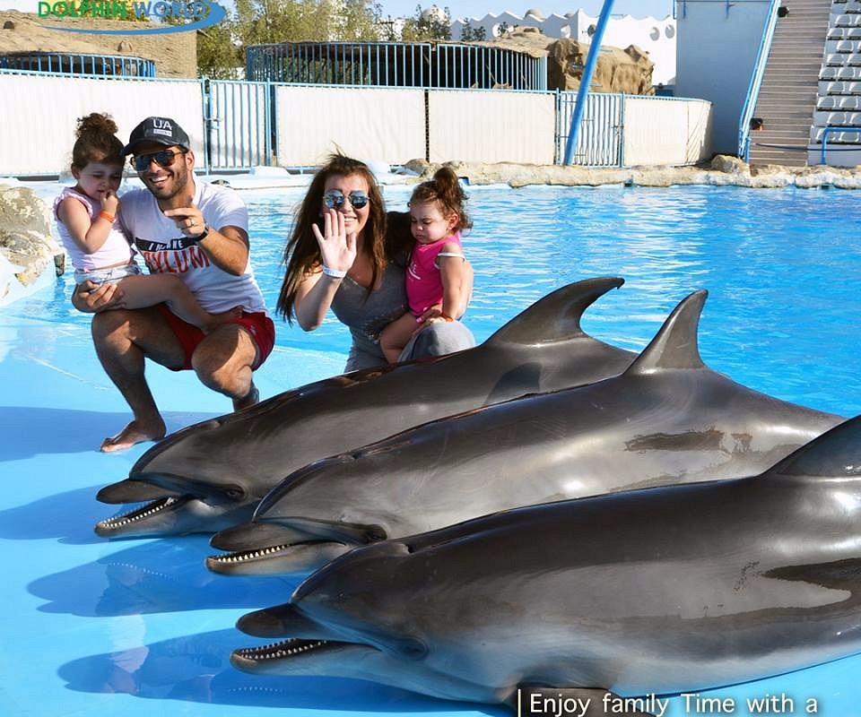 Dolphin Show in Hurghada, Yala Hurghada