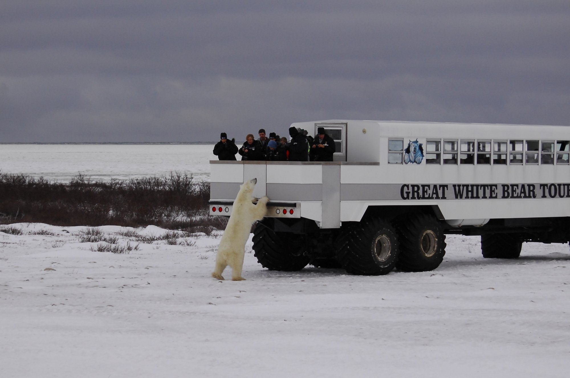 THE 15 BEST Things To Do In Churchill 2024 Must See Attractions   Curious Bear 