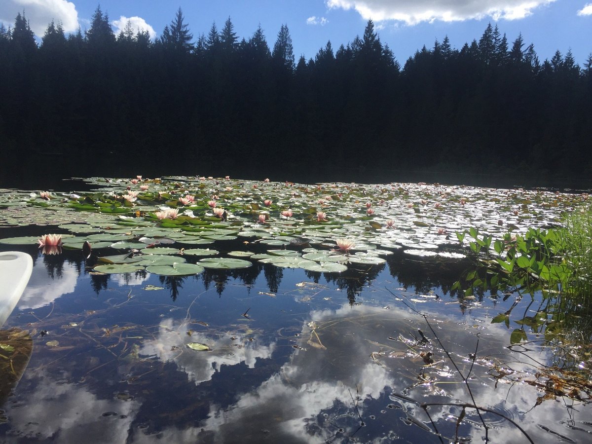 Lake Bronson Club Family Nudist Park - All You Need to Know BEFORE You Go  (2024)