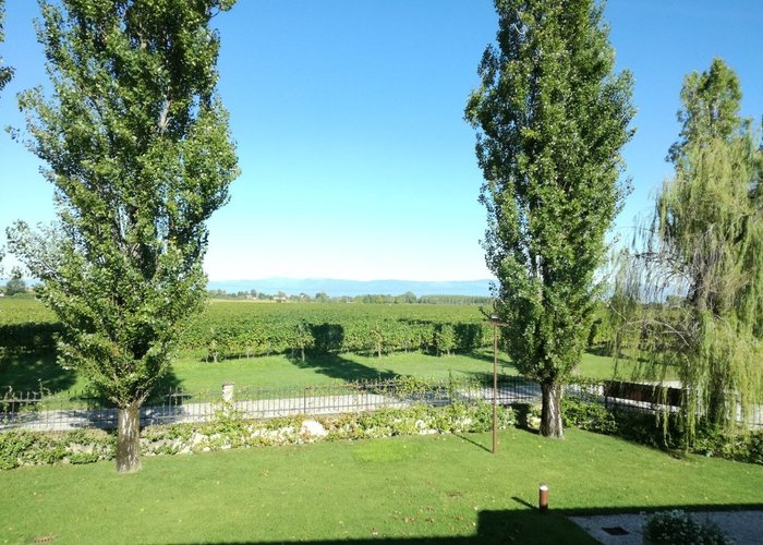 Tenuta Polvaro