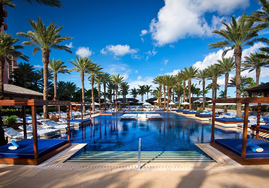 The Cove Updated 21 Prices Resort Reviews Bahamas New Providence Island Tripadvisor