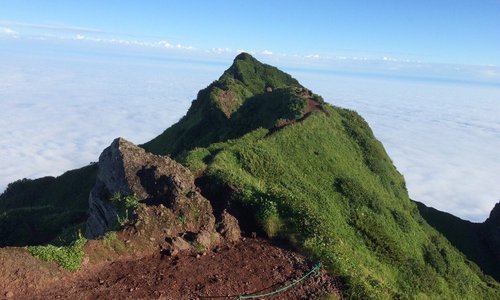 利尻島