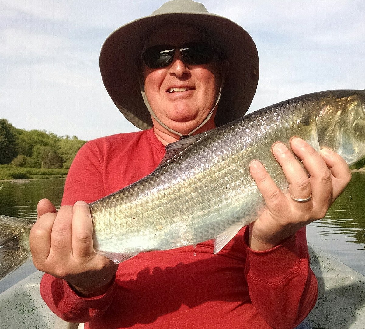Fly-Fishing Guide to the Upper Delaware River Book