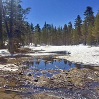 Trail markers help guide the way