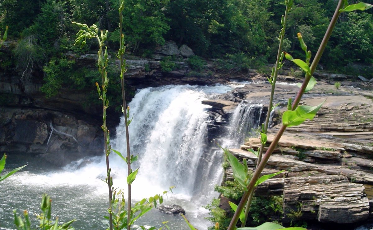 Weiss Lake (Cherokee) - All You Need to Know BEFORE You Go