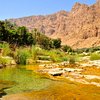 What to do and see in Al Sharqiyah, Ash-Sharqiyah Governorate: The Best Tours