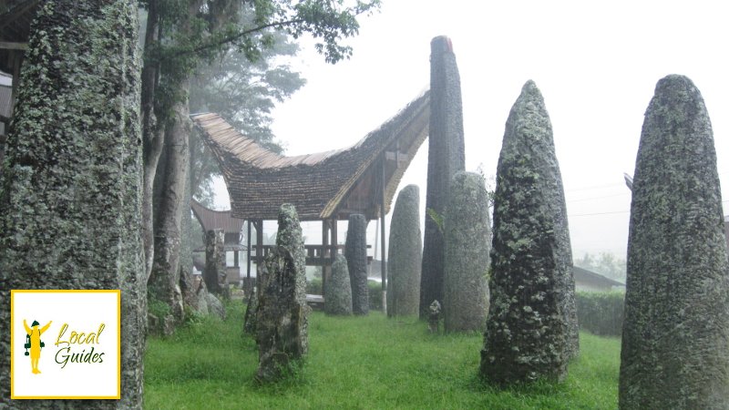 LOCAL GUIDES - TANA TORAJA - Qué DEBES Saber Antes De Ir