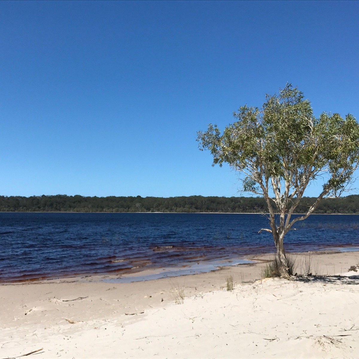 Boomanjin lake (Fraser Island) - All You Need to Know BEFORE You Go