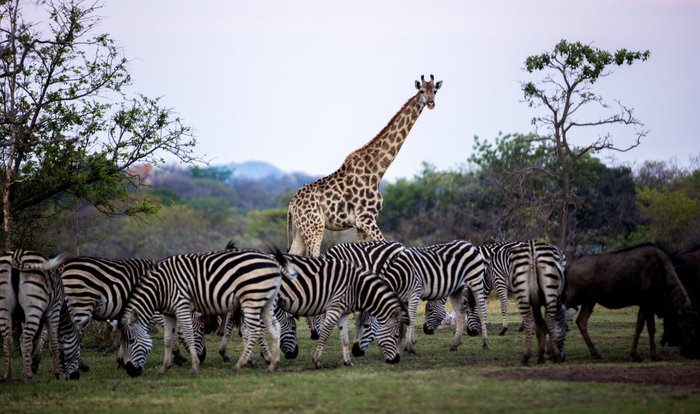 FARMHOUSE LODGE MATOPOS - Updated 2023 Prices & Reviews (Matobo ...